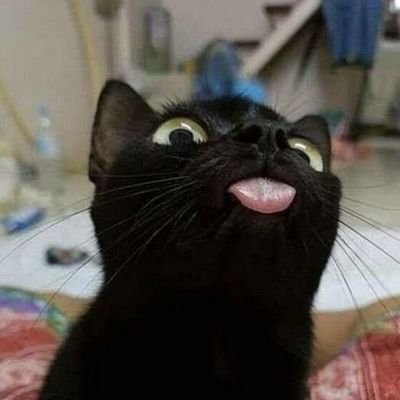 ¿Has actuado conforme al deseo que te habitค็็็็็็็็็็็็็็็็็็็็็็็็็็็็็็็็็็็็็็็็็็็็็? ᓚᘏᗢ