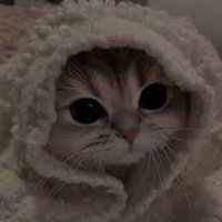 Astrø (@astrooxfps) 's Twitter Profile Photo Astrø (@astrooxfps) 's Twitter Profile Photo