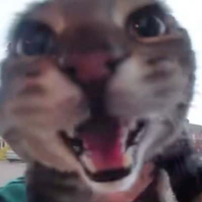 BG3SF's profile picture. working on some projects :)
Dc: BG3SF_
https://t.co/CJdN8x1ymB