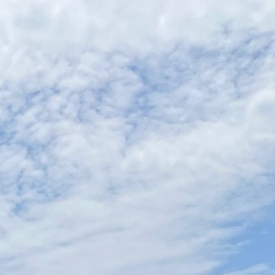 名前空間 Profile