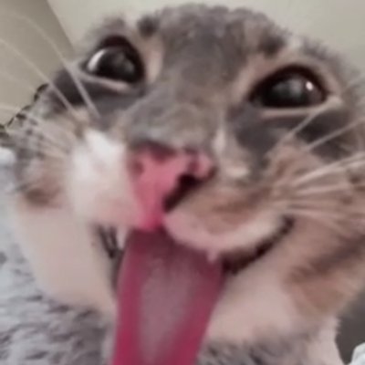 JojoShabaduJr's profile picture. 