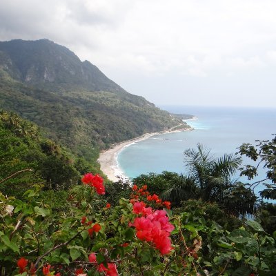 nieme14799's profile picture. Catholic. Husband. Papi. Retired Offshore Roughneck. Living off the grid in a Caribbean paradise. Pureblood. MAGA OG.