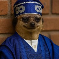 Web3 lieutenant 🫡 (@tfaroye5967) 's Twitter Profile Photo Web3 lieutenant 🫡 (@tfaroye5967) 's Twitter Profile Photo