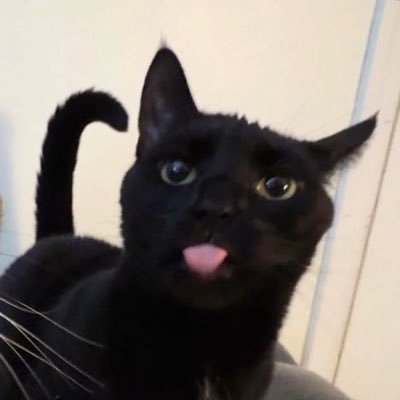 tizy_fart's profile picture. 重口警告⚠️不喜勿看哦 大概就是特殊xp号（恋屁癖！） 这里是普通涩涩号 欢迎哦@tizyoiiaio