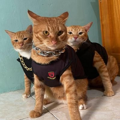 Web3 & NFT enthusiast | Gamer 🎮 |
Steam: https://t.co/DoG4VP6X2k
Discord: aut.mori