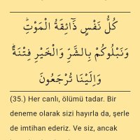 TAHA ERBİL (@muhsinozde67081) 's Twitter Profile