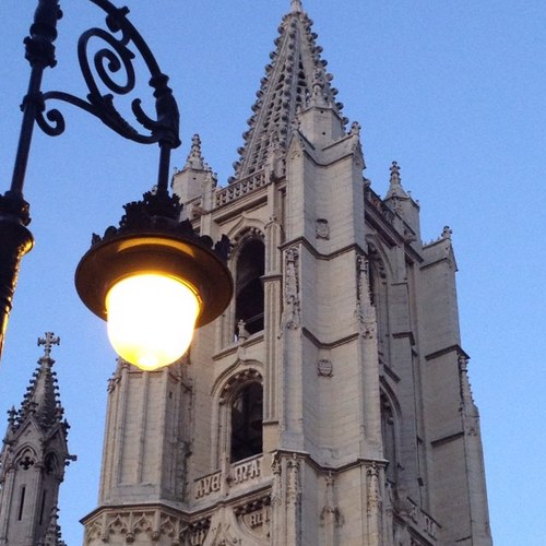 Alejandro Dinamarca Profile