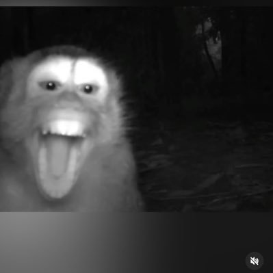 RlDiogo's profile picture. 