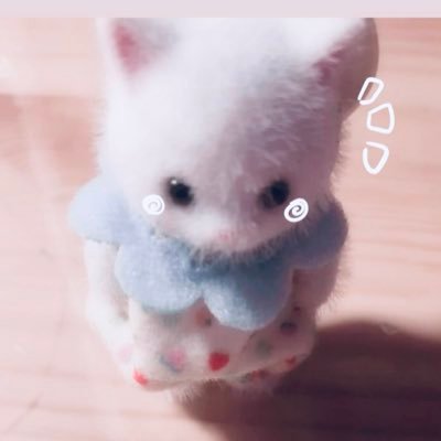 kawaiiinoinu's profile picture. n=1 国医/化生政/救急志望