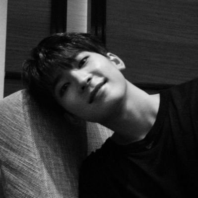 Live, Laugh, Love Jeon Wonwoo ˚༘ ೀ。˚ 🐾₊˚ෆ || 🛒: @seventeenthcart