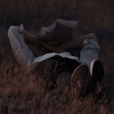 floriansworld's profile picture. 📖 . . . 𝑺𝒐𝒈𝒂𝒓 𝒌𝒂𝒑𝒖𝒕𝒕𝒆 𝑫𝒊𝒏𝒈𝒆 𝒃𝒍𝒖𝒉𝒆𝒏 𝒆𝒊𝒏𝒆𝒔 𝑻𝒂𝒈𝒆𝒔 𝒂𝒖𝒇.