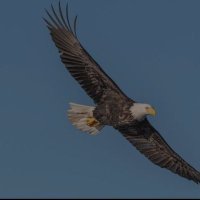Comandor (@5b9e376c4fe6420) 's Twitter Profile