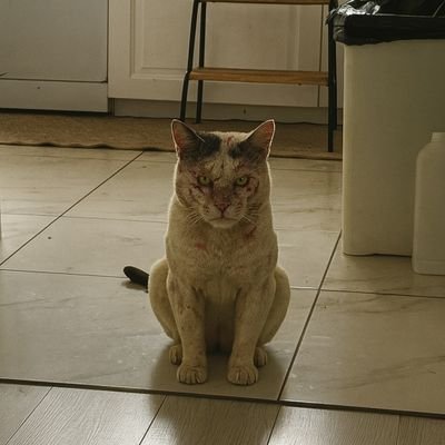 Kekeさんのプロフィール画像