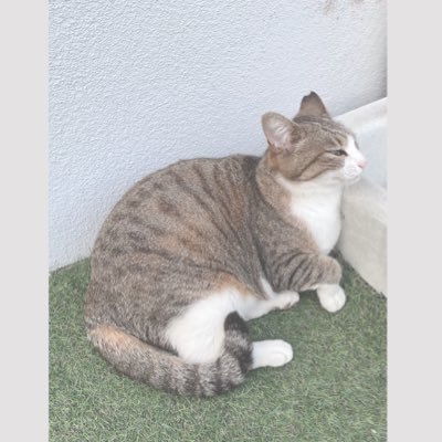 0_sb2k's profile picture.  ︎︎