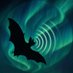 Echolocational (@echolocationai) Twitter profile photo Echolocational (@echolocationai) Twitter profile photo