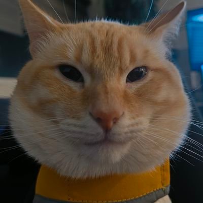 Fusion_omatsuri's profile picture. I like bread, art, soup, and OP