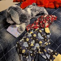 Reese :3 (@pampedcreature) 's Twitter Profile