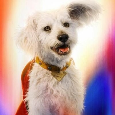 nat20791's profile picture. 