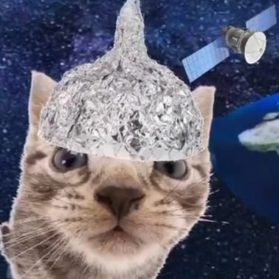 ornitorrinco hates wednesdaysさんのプロフィール画像