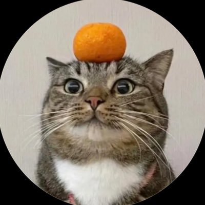 BroEL_'s profile picture. 22