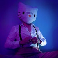 Mr. KittyGuy (@themrkittyguy) 's Twitter Profile