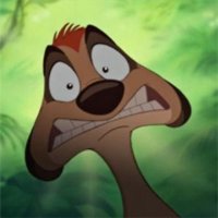 Timon Flow (Pre Debut) (@timonflow_vt) 's Twitter Profile
