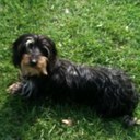 Camilla Stone - @StoneCamilla - Twitter