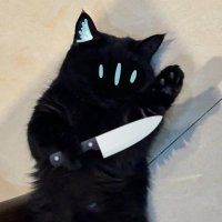 Night (@knight_of_rever) 's Twitter Profile