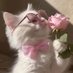 razan_qwen (@roya_qwen) Twitter profile photo razan_qwen (@roya_qwen) Twitter profile photo