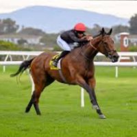 African advantage betting (@african_races) 's Twitter Profile Photo African advantage betting (@african_races) 's Twitter Profile Photo