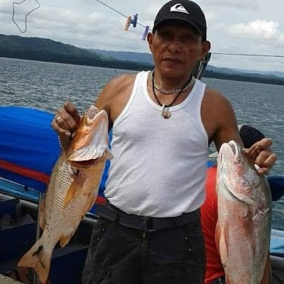 LopezElise43129's profile picture. 