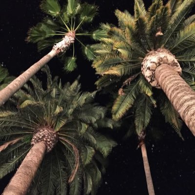 glimrune's profile picture.