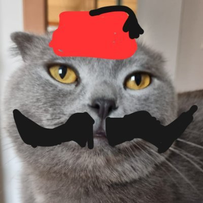 TurquoiseeSama's profile picture. 