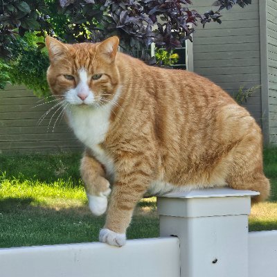 legoodwin50's profile picture. I used to be disgusted.  Now I'm even more disgusteder. IoT
Bill of RIGHTS, not permissions {Zion is not going to establish itself.}
I block ALL bot accounts.