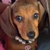 Marsha Mayo (@marsha79741) Twitter profile photo Marsha Mayo (@marsha79741) Twitter profile photo