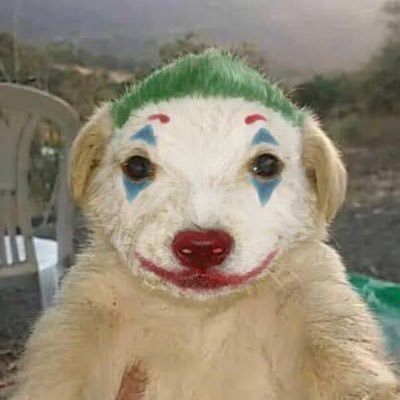 @MKULTRA999