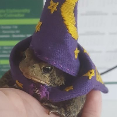 Laus_594's profile picture. 