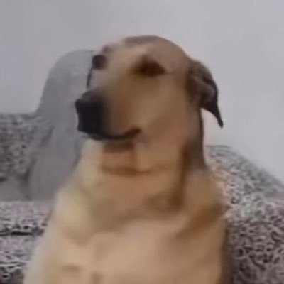 JpDeLaO1's profile picture. .