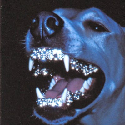 0xkalv's profile picture. magic internet money