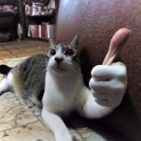 CR1SP (@lemonboyo4) 's Twitter Profile