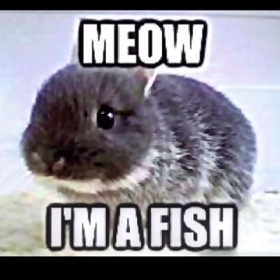 Karite125's profile picture. 