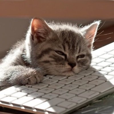 BitsAtPlayDev's profile picture. Hobbyist Game Developer