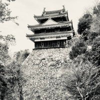超足軽 (@ysd1040) 's Twitter Profile Photo 超足軽 (@ysd1040) 's Twitter Profile Photo