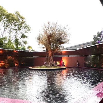 hazzz_oyasumi's profile picture. @chiisaihanataba 👸🏻様応援用アカウントです💖🌳