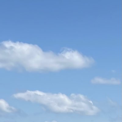 Riee19050156662's profile picture. 