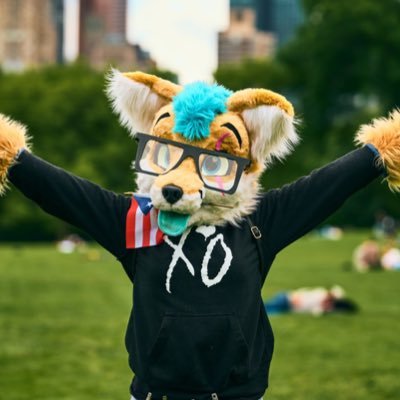 Scout 🩵🇵🇷 ﾒ𝟶さんのプロフィール画像