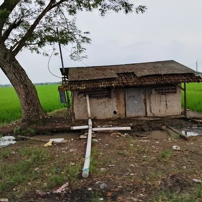 Cahyo577's profile picture. Bitcoin dan Hyperliquid