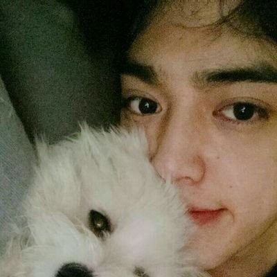 ciaaacin's profile picture. cita cita ingin jadi kucing di kehidupan selanjutnya😽