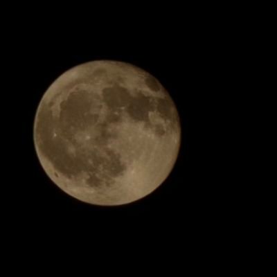 Princessm75023's profile picture. I love peace, love and brotherhood among people
Plant light, peace and loveLet the flame of light within you illuminate the path for you and others. 🌹