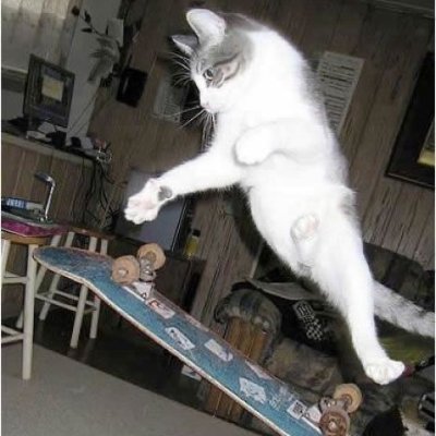 RobotRock69's profile picture. Estoy mirando nomas.